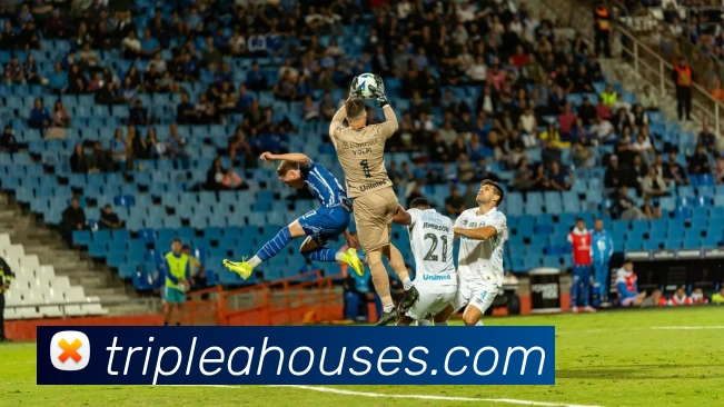 米兰app体育app官网入口服务体系